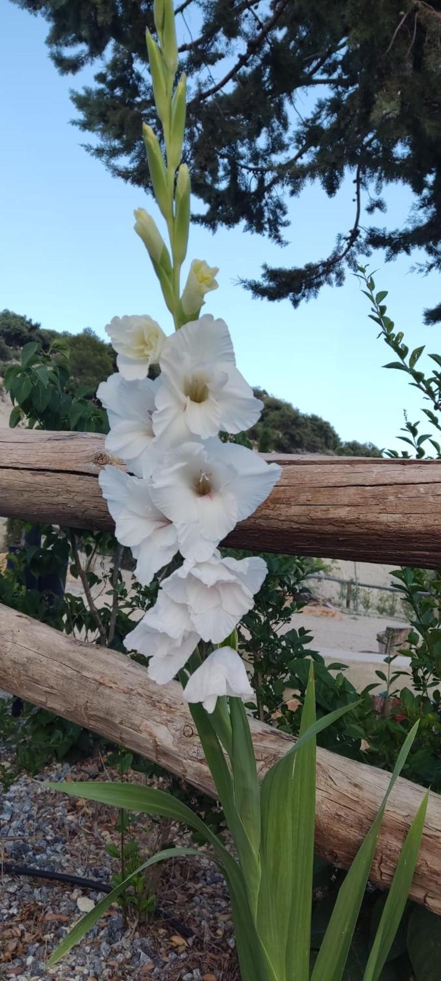 Holiday home Turisticos Rurales Entresierras