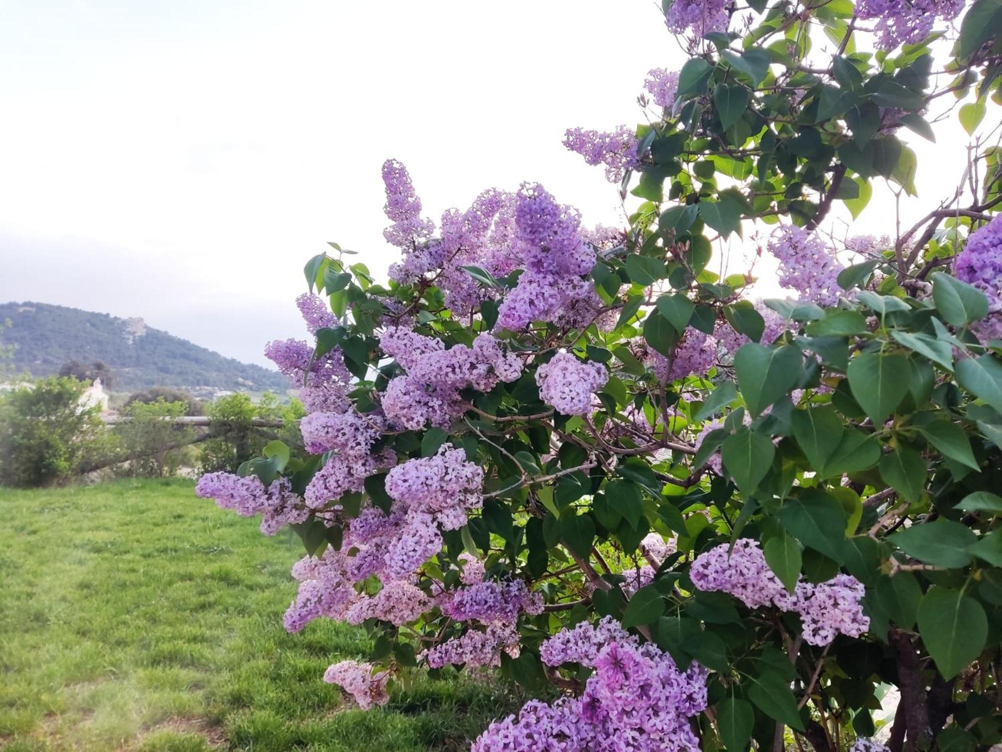 Turisticos Rurales Entresierras Holiday home *