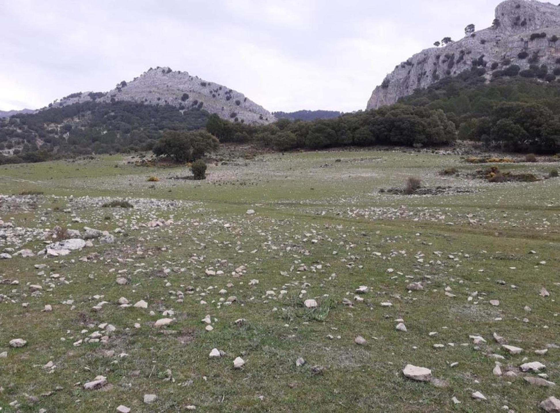 Turisticos Rurales Entresierras * Cazorla